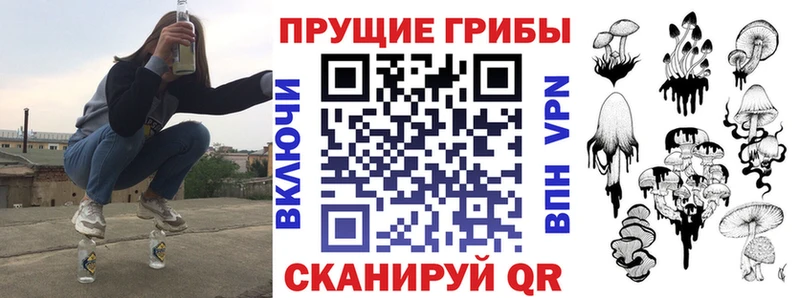 Псилоцибиновые грибы ЛСД  Верея 